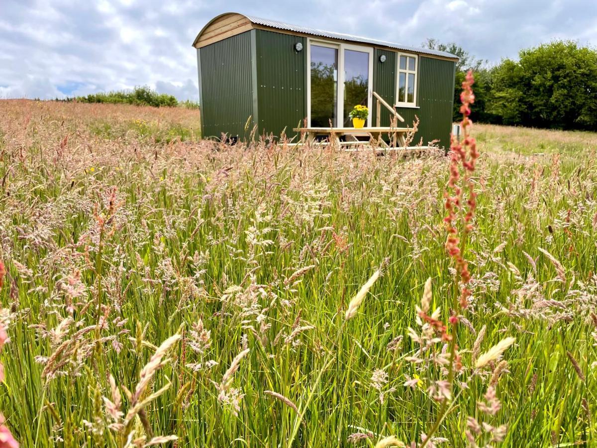 Vila Stepping Stones Glamping 'The Olive' Bantry Exteriér fotografie