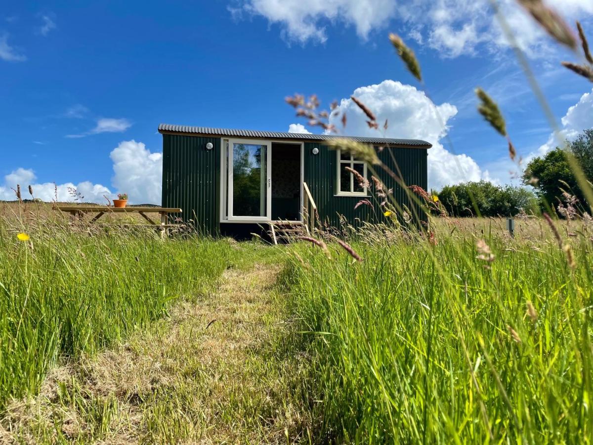 Vila Stepping Stones Glamping 'The Olive' Bantry Exteriér fotografie