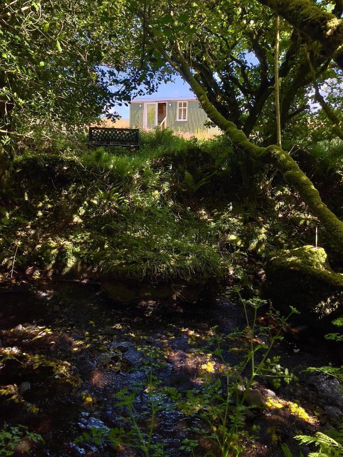 Vila Stepping Stones Glamping 'The Olive' Bantry Exteriér fotografie