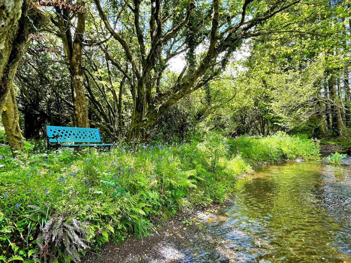 Vila Stepping Stones Glamping 'The Olive' Bantry Exteriér fotografie
